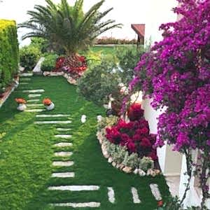 Bodrum Hazır Çim
